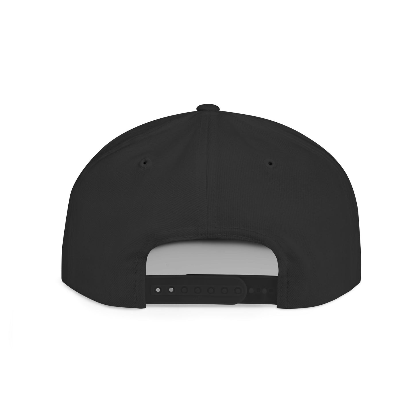 SnapBack Embroidered Hat - ‘They Hate Us Because They Ain’t Us’