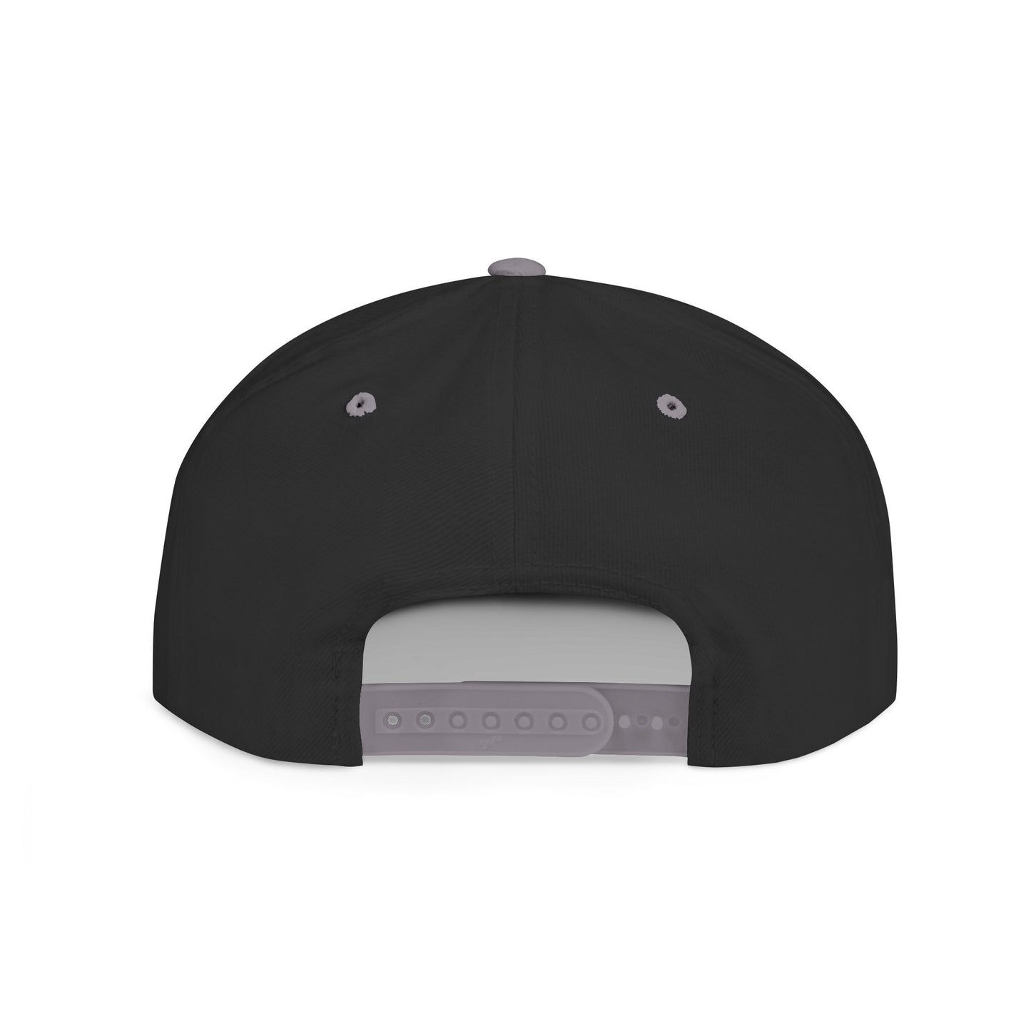 SnapBack Embroidered Hat - ‘They Hate Us Because They Ain’t Us’