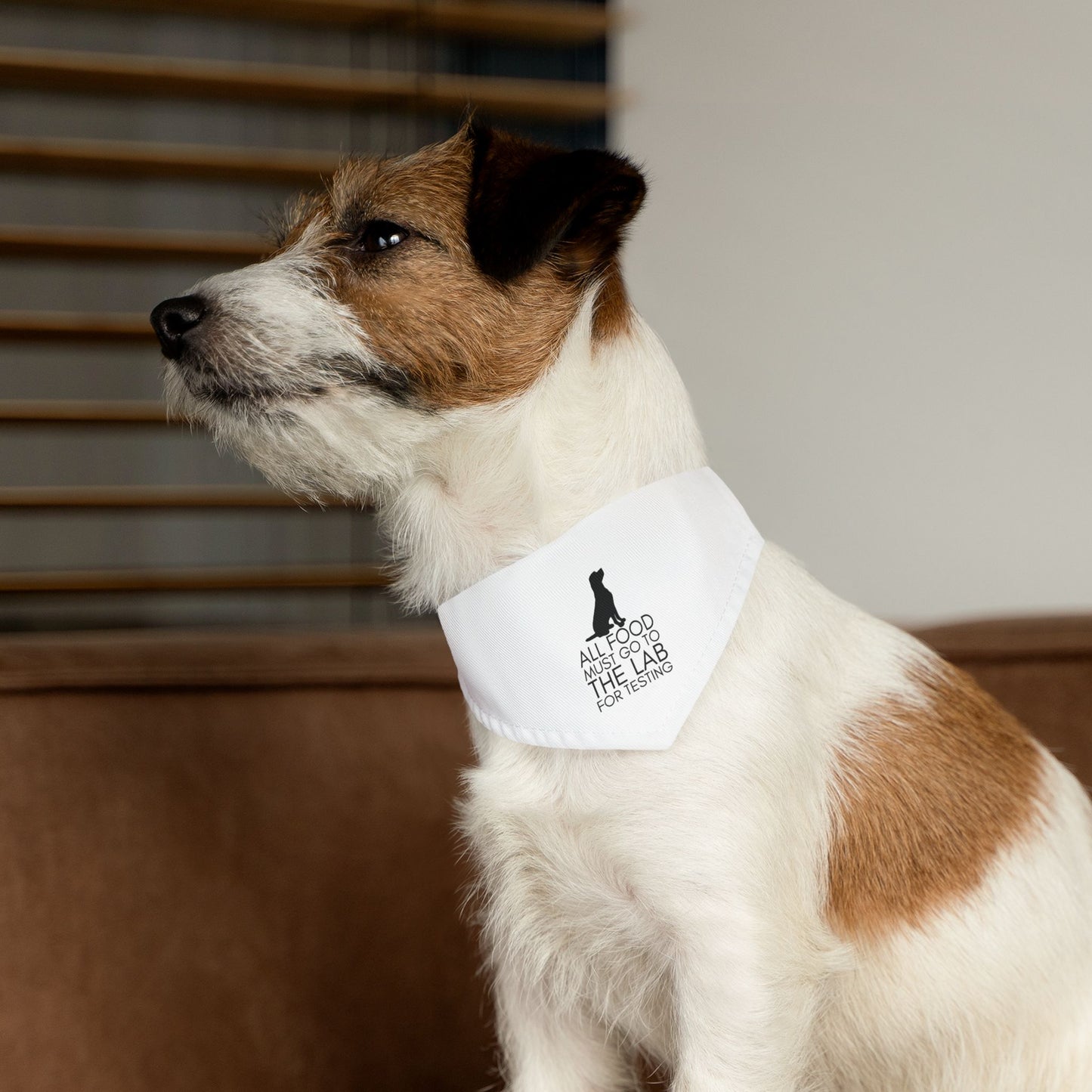 “All Food Must Go to the Lab…” Bandana Collar