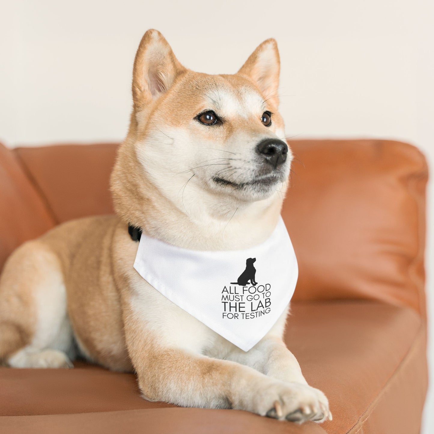 “All Food Must Go to the Lab…” Bandana Collar