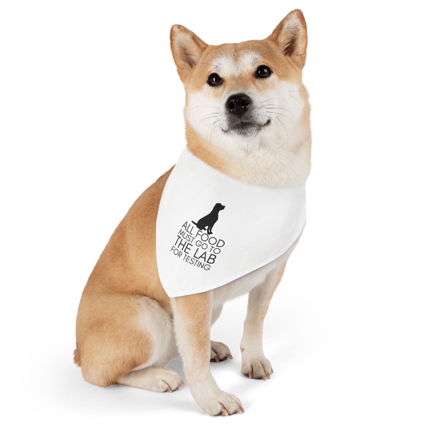 “All Food Must Go to the Lab…” Bandana Collar