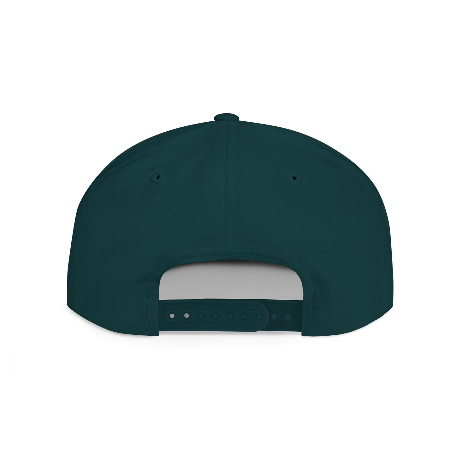 SnapBack Embroidered Hat - ‘They Hate Us Because They Ain’t Us’
