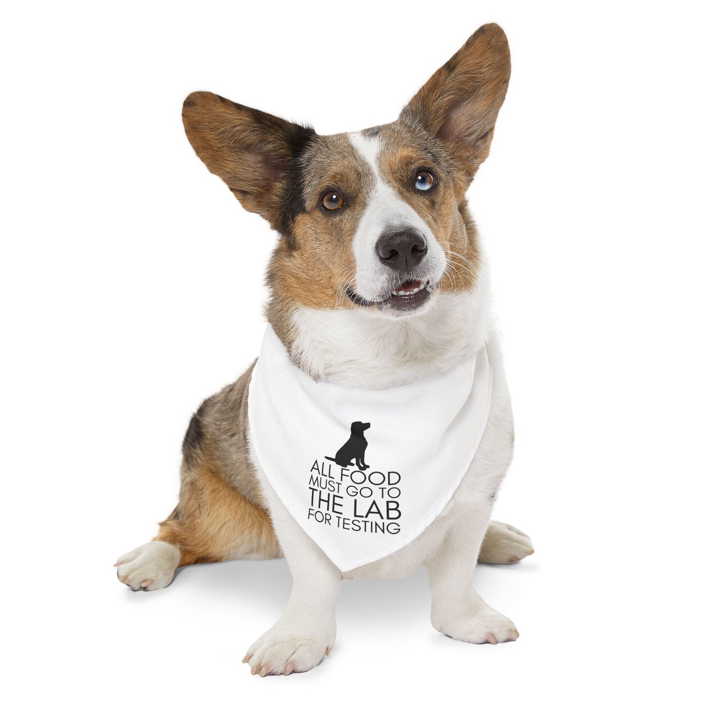 “All Food Must Go to the Lab…” Bandana Collar