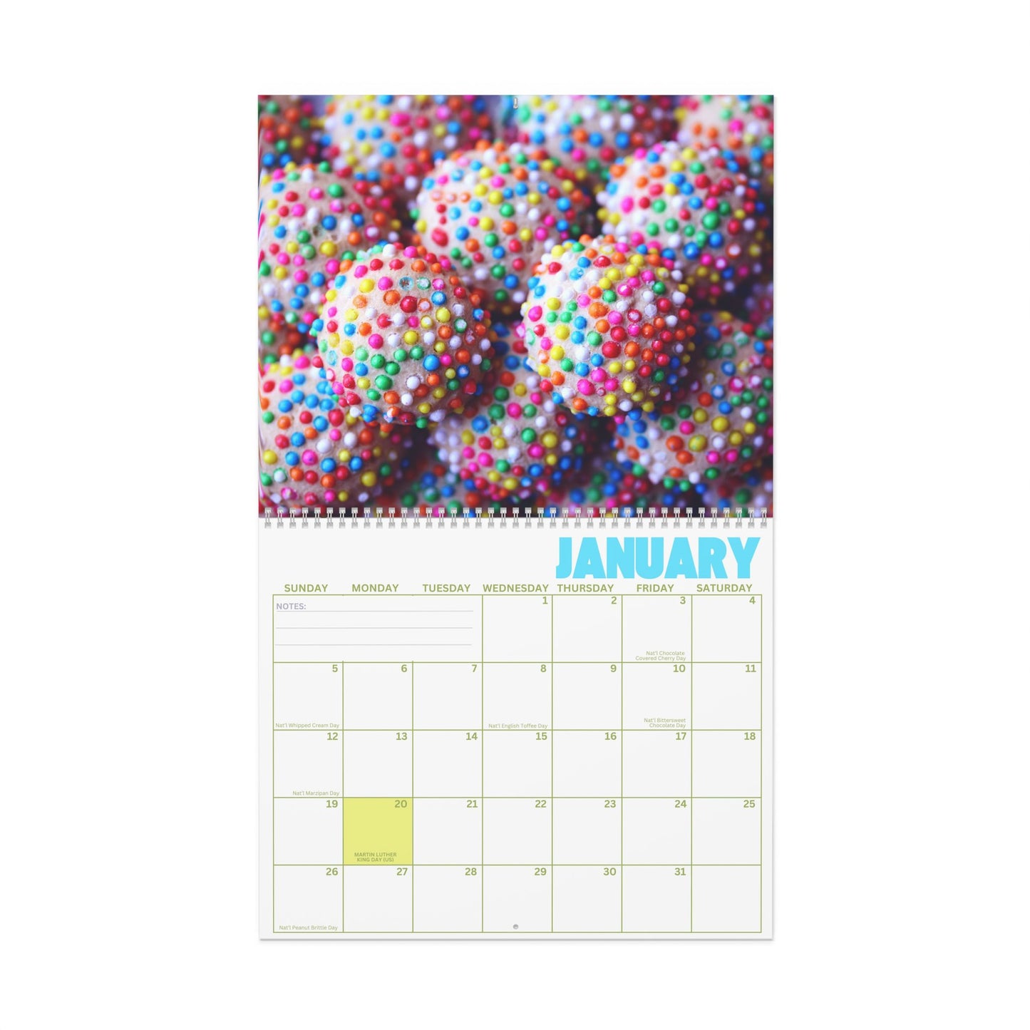 2025 Monthly Wall Calendar - I Want Candy!