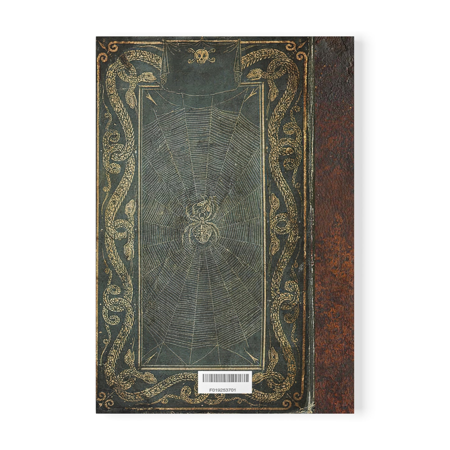 Softcover Notebook - Spiders & Snakes