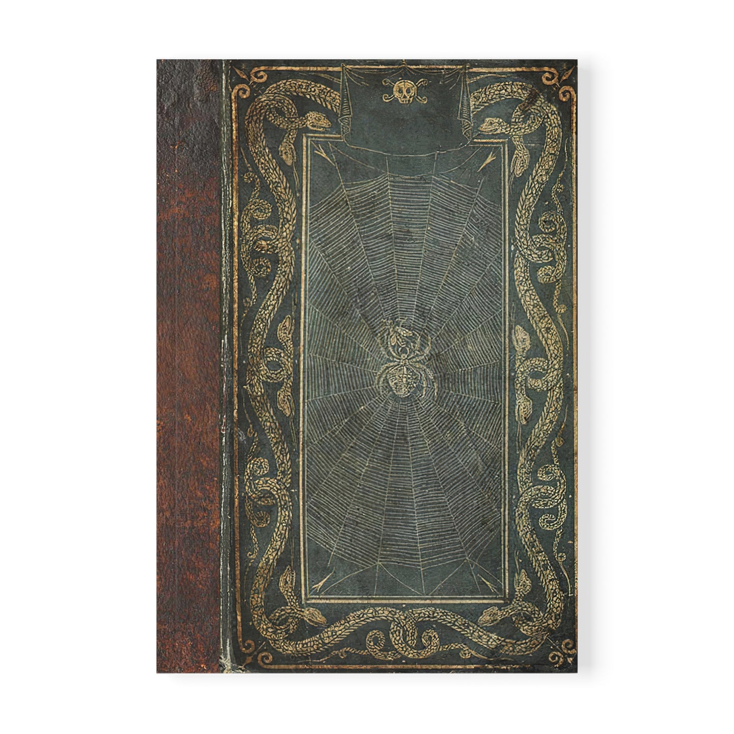 Softcover Notebook - Spiders & Snakes