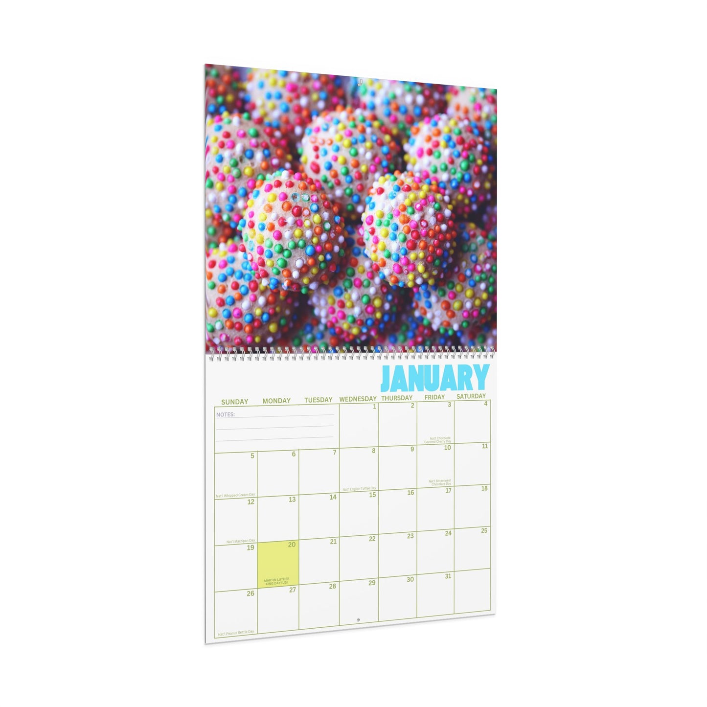 2025 Monthly Wall Calendar - I Want Candy!