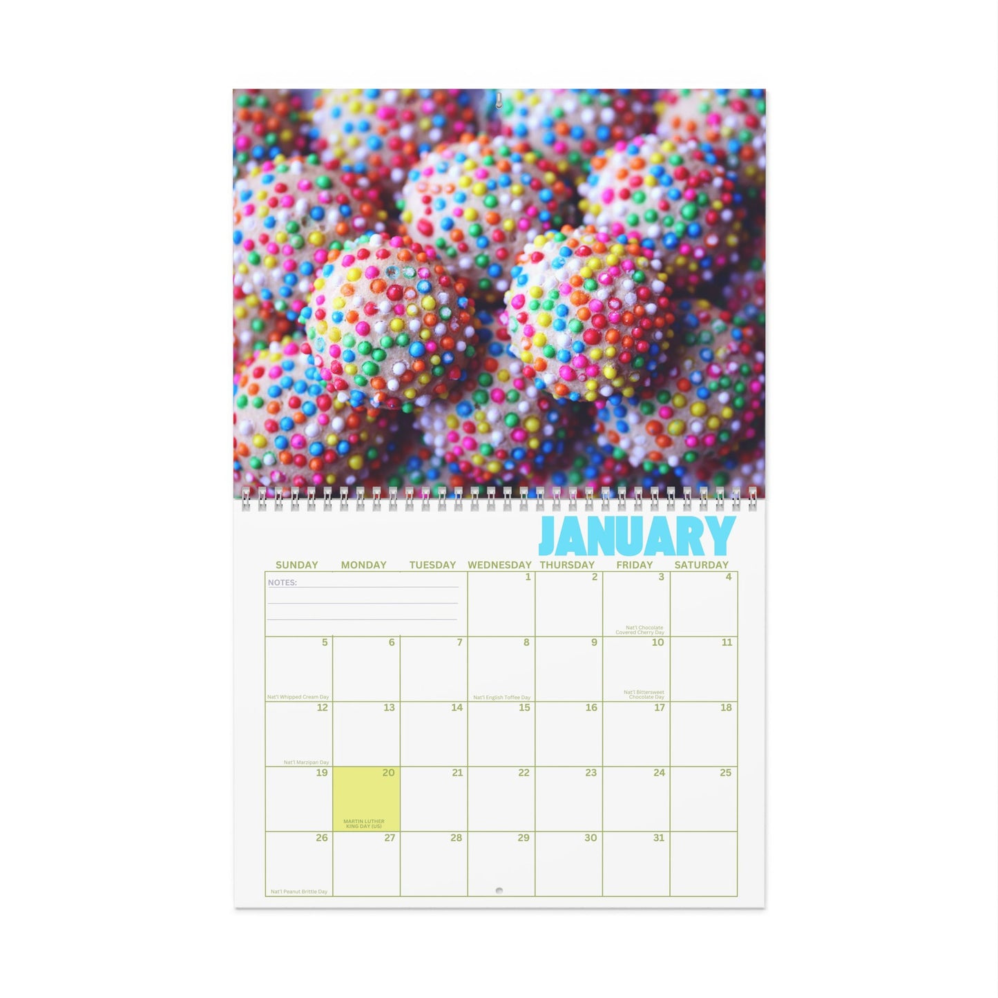 2025 Monthly Wall Calendar - I Want Candy!